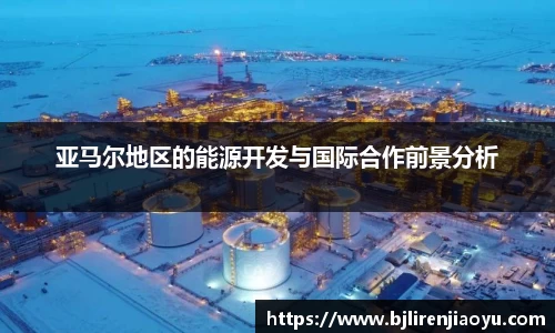 亚马尔地区的能源开发与国际合作前景分析